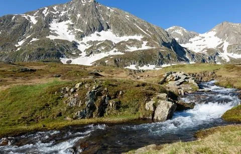 Flowing Forest Stream with Mountain Background Stock Photos