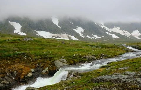 Flowing Forest Stream with Mountain Background Stock Photos