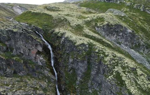 Flowing Forest Stream with Mountain Background Stock Photos