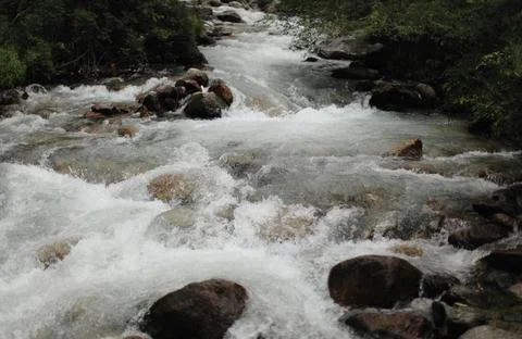 Flowing Forest Stream with Mountain Background Stock Photos