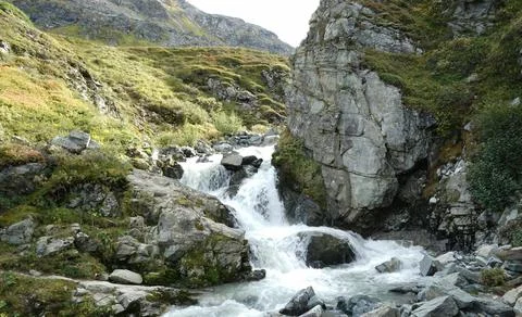 Flowing Forest Stream with Mountain Background Stock Photos