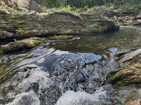 Flowing forest stream over mossy rocks with water reflections. Stock Photos
