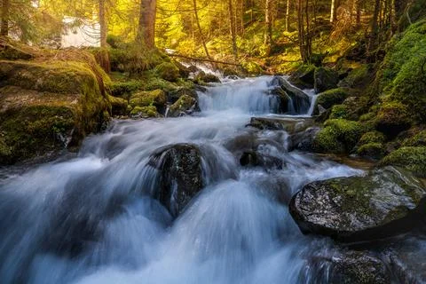 Flowing forest stream water Foto stock