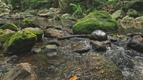 Flowing fresh water stream between stones in jungle Stock Footage 331622292