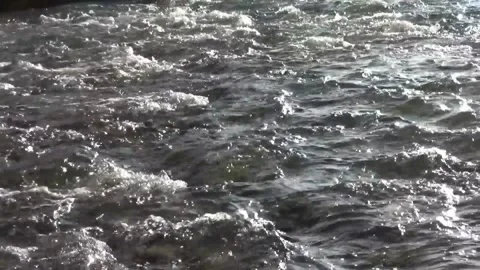 Flowing gently with small waves a river stream winds its, stock footage. Stock Footage 304784635