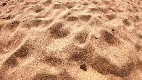 Flowing grains of sand shift and settle in a natural landscape, sandy surface Video stock 318588035