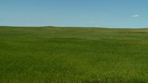 Flowing grass landscape timelapse Stock Footage 74088924