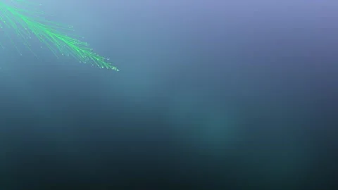 Flowing green light lines create a smooth abstract motion Stock Footage 328448913