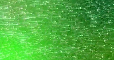 Flowing green waveform ribbons moving across data visualization, showing dots Illustrazione stock