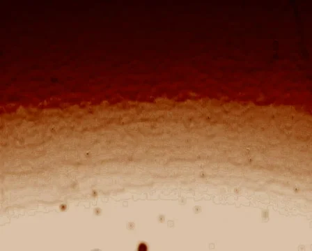 Flowing Hemoglobin 動画素材 103819