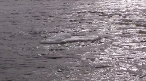 Flowing ice in a river. Video stock 34650687