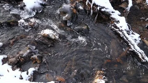 Flowing ice stream in winter weather Stock Footage 145451338