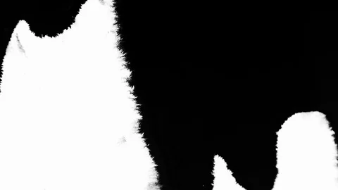 Flowing ink transition mask Stock Footage 102396793