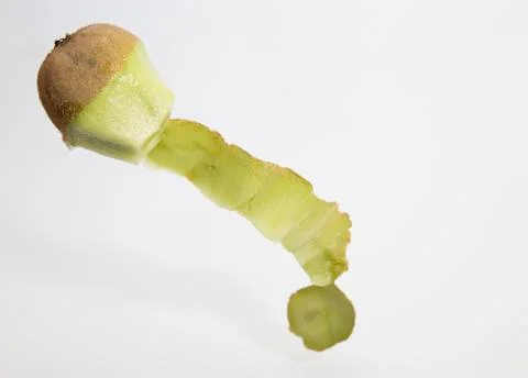 Flowing Kiwi Foto stock