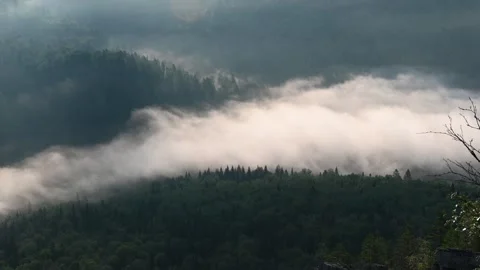Flowing low clouds enveloping a tranquil mountain forest Stock-Footage 317156163