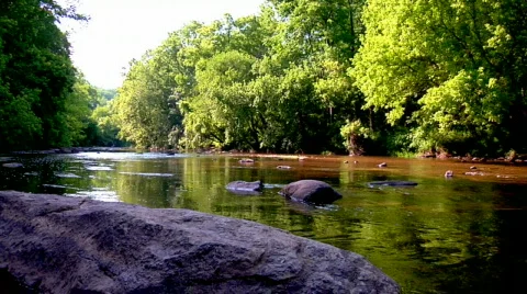Flowing Lush River Stock Footage 302928