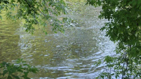 Flowing Mississippi river Stock Footage 25488607
