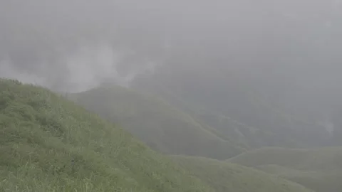 Flowing Mist over Meadow Ridge Stock-Footage 343665785