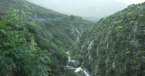 Flowing mountain river with car passing wide shot Stock Footage 277386231