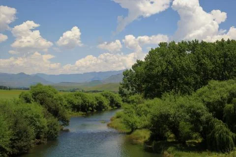Flowing Mountain River Stock Photos