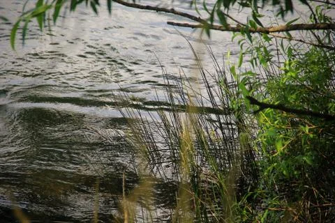 Flowing Mountain River Stock Photos