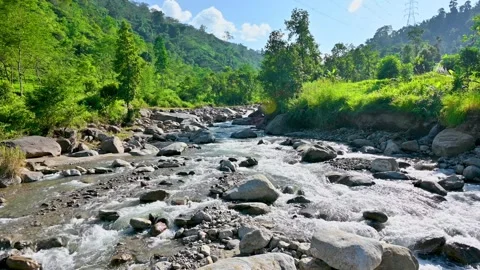 Flowing Mountain River: Relaxing Nature Footage of Clear Water Vídeo Stock 340095262