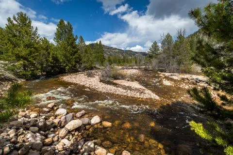 Flowing Mountain River Surrounded by Forest Foto stock
