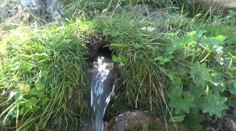 Flowing mountain spring water, drinking water, summer, pipe, close up, grass1 Stock Footage 30350845