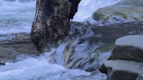 Flowing Mountain Stream Stock Footage 100991420