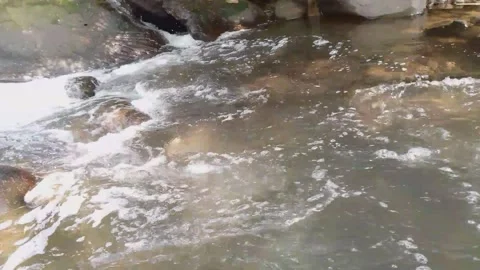 Flowing Mountain Stream Over Rocks in Tropical Forest 4K Stock Footage 341862992