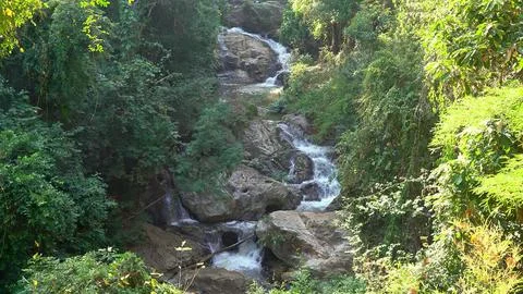 Flowing mountain stream with rocks and green plants Stock Photos