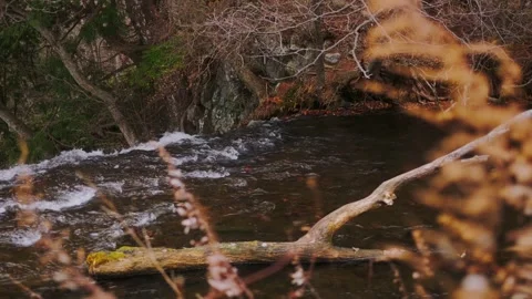 Flowing mountain stream surrounded by autumn foliage in Hakone, Japan Stockbeeldmateriaal 335028748