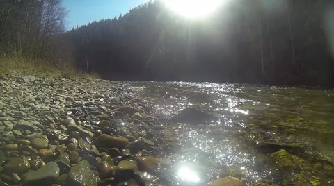 Flowing mountain stream with transparent water and stones on bottom Stock Footage 67315942