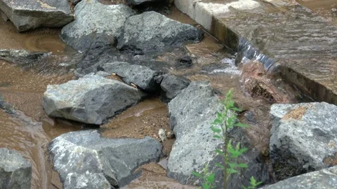 Flowing mountain stream with transparent water and stones on bottom Stock Footage 79034987