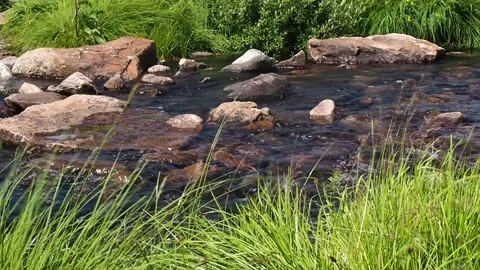 Flowing mountain stream with transparent water and stones. Stock Footage 97729482