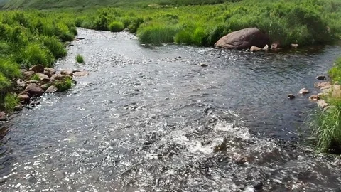 Flowing mountain stream with transparent water and stones. Stock Footage 97729505