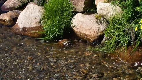 Flowing mountain stream with transparent water and stones. Stock Footage 97729527