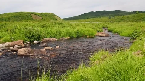 Flowing mountain stream with transparent water and stones. Stock Footage 97729543