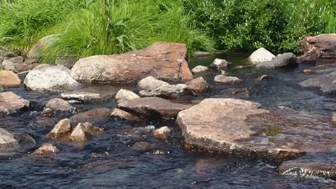 Flowing mountain stream with transparent water and stones. Stock Footage 97729568