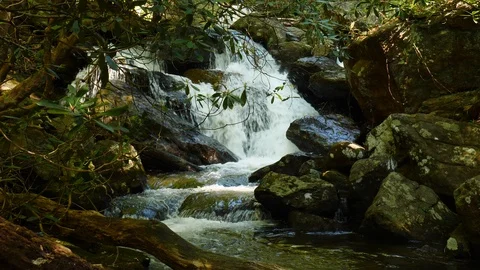 Flowing Mountain Stream in the Wilderness 스톡 동영상 107066824