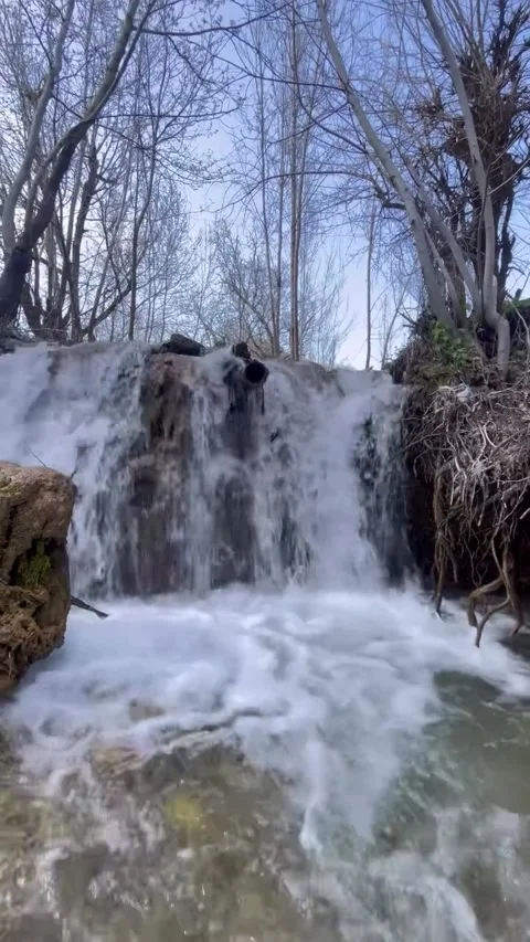 Flowing Mountain Waterfall in Forest Stream Stock Footage 340871395