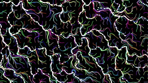 Flowing multicolored particles on black background. Stock Footage 228966876