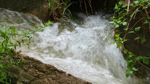 Flowing natural spring water Stock Footage 93590400