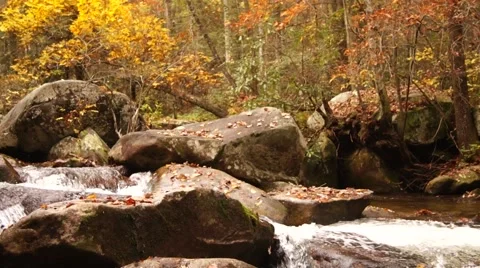 Flowing North Carolina River In Fall Color Stock Footage 51925648
