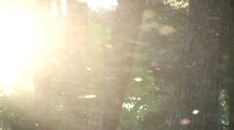 Flowing particle Stock-Footage 729079