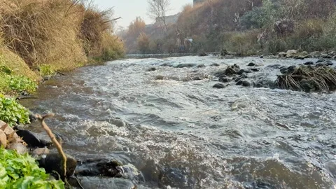 Flowing Polluted Drain Water with Garbage and Sewage Contamination Stock Footage 329147466