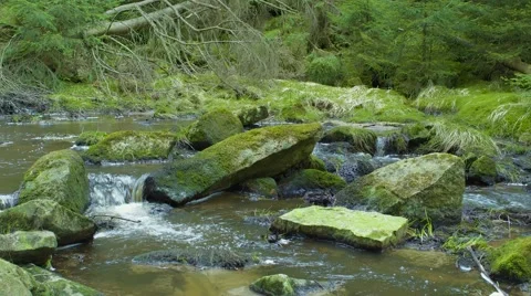 Flowing Pond 動画素材 63216389