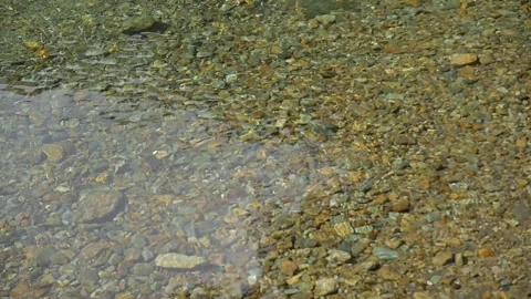Flowing pristine glacier fresh water of an Andes mountains river Stock Footage 256183555