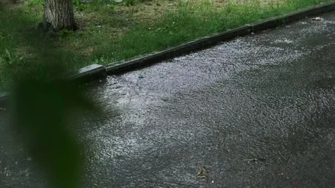 Flowing rainwater streams down the asphalt, extended urban rains, promoting taxi Stock Footage 277643129
