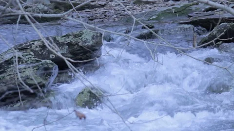 Flowing Rapid River Water Behind Branch Stock Footage 100965627